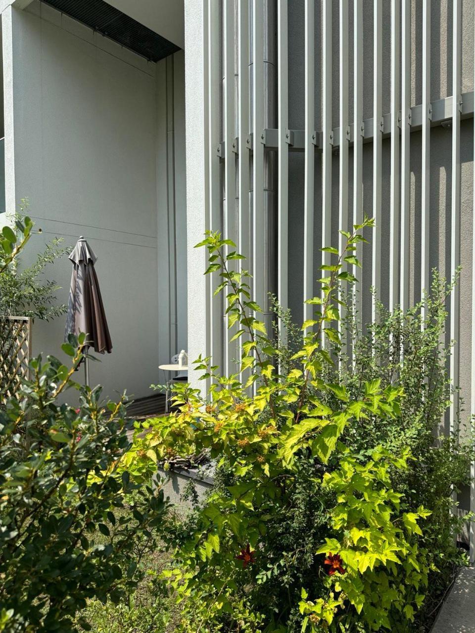 Cosy Splendor / City Center Грац Екстериор снимка
